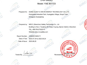 801723 PSE Certificate