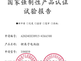 801723 PSE Certificate